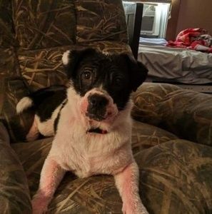 Meet your Posher, Amy joy